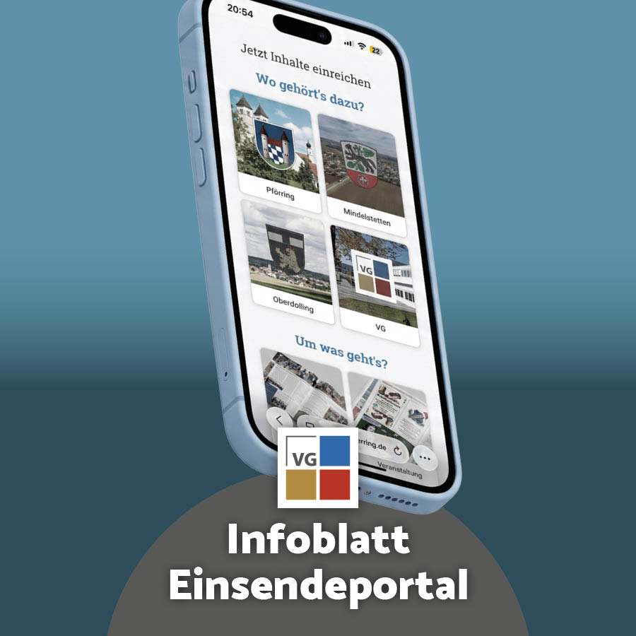 Einsendeportal Infoblatt